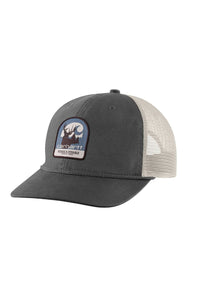 Carhartt Canvas Logo Patch Mesh Back Cap in Dark Gray