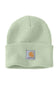 Carhartt Knit Cuff Beanie in Tender Greens