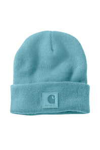 Carhartt Knit Cuffed Beanie in Blue