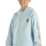 Carhartt Youth Graphic Hoodie for Boys in Blue