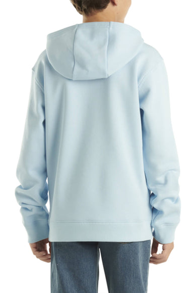 Carhartt Youth Graphic Hoodie for Boys in Blue