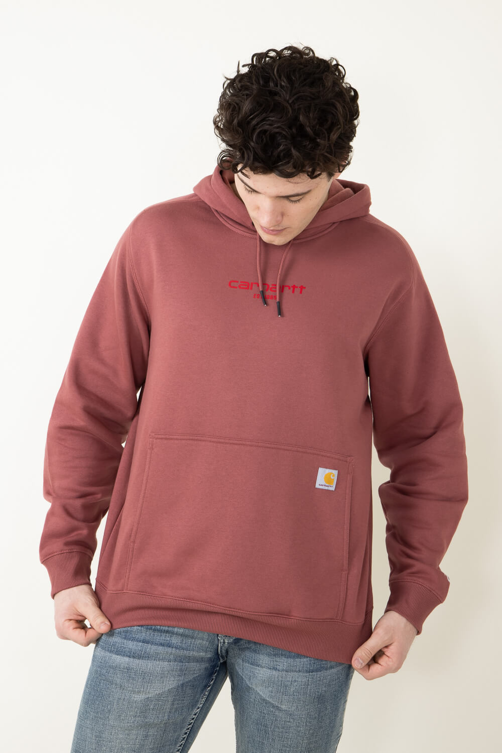 Carhartt Force Relaxed Fit Lightweight Logo Graphic Hoodie for Men