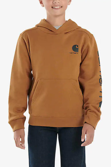Carhartt Youth Graphic Hoodie for Boys in Brown