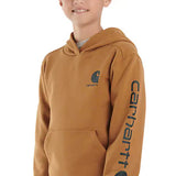 Carhartt Youth Graphic Hoodie for Boys in Brown