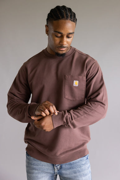Carhartt Terry Crewneck Sweatshirt for Men in Brown