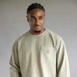 Carhartt Terry Crewneck Sweatshirt for Men in Greige