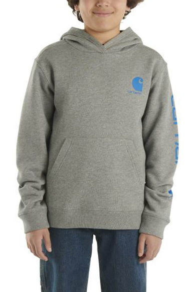 Carhartt Youth Graphic Hoodie for Boys in Grey