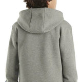 Carhartt Youth Graphic Hoodie for Boys in Grey