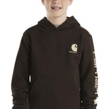 Carhartt Youth Graphic Sweatshirt for Boys in Brown