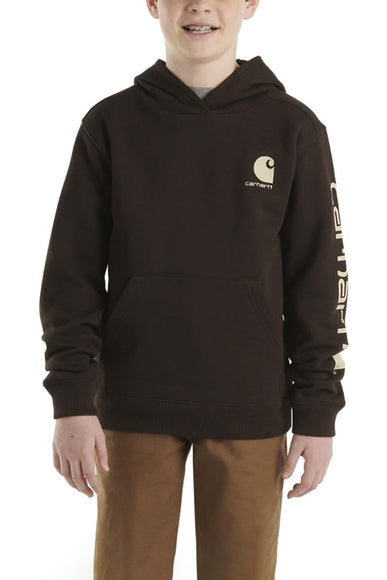 Carhartt Youth Graphic Sweatshirt for Boys in Brown