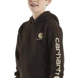 Carhartt Youth Graphic Sweatshirt for Boys in Brown