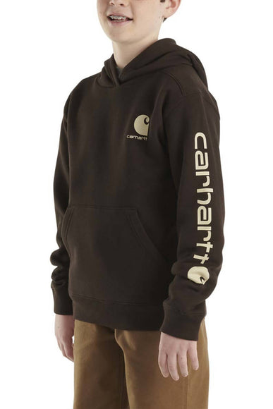 Carhartt Youth Graphic Sweatshirt for Boys in Brown