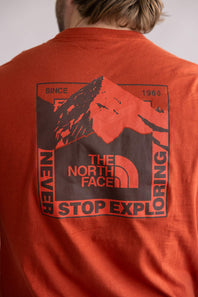  The North Face Mountain Scape Tee for Men in Iron Clay