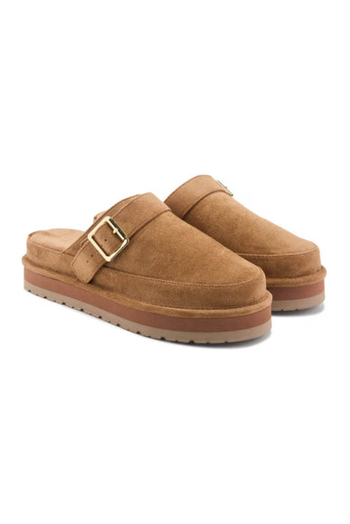 Madden Girl Graham Clogs for Women in Tan