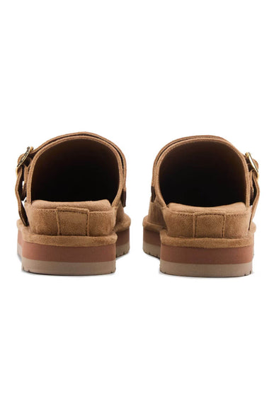 Madden Girl Graham Clogs for Women in Tan