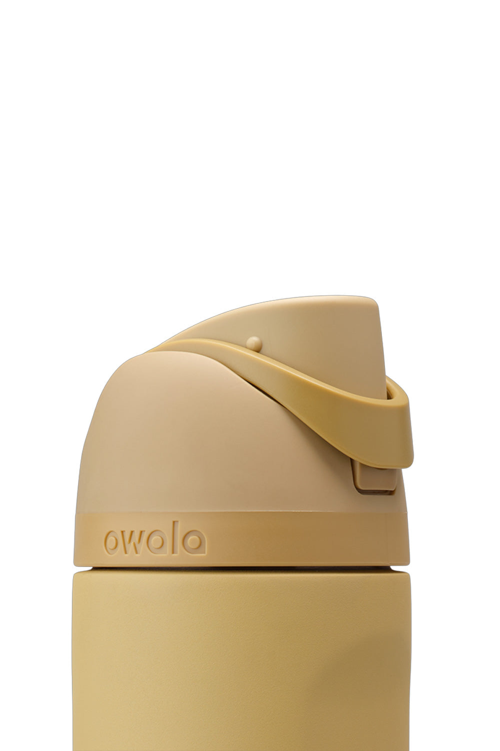 Owala FreeSip 24 oz Stainless Steel Water Bottle in Autumn Vista