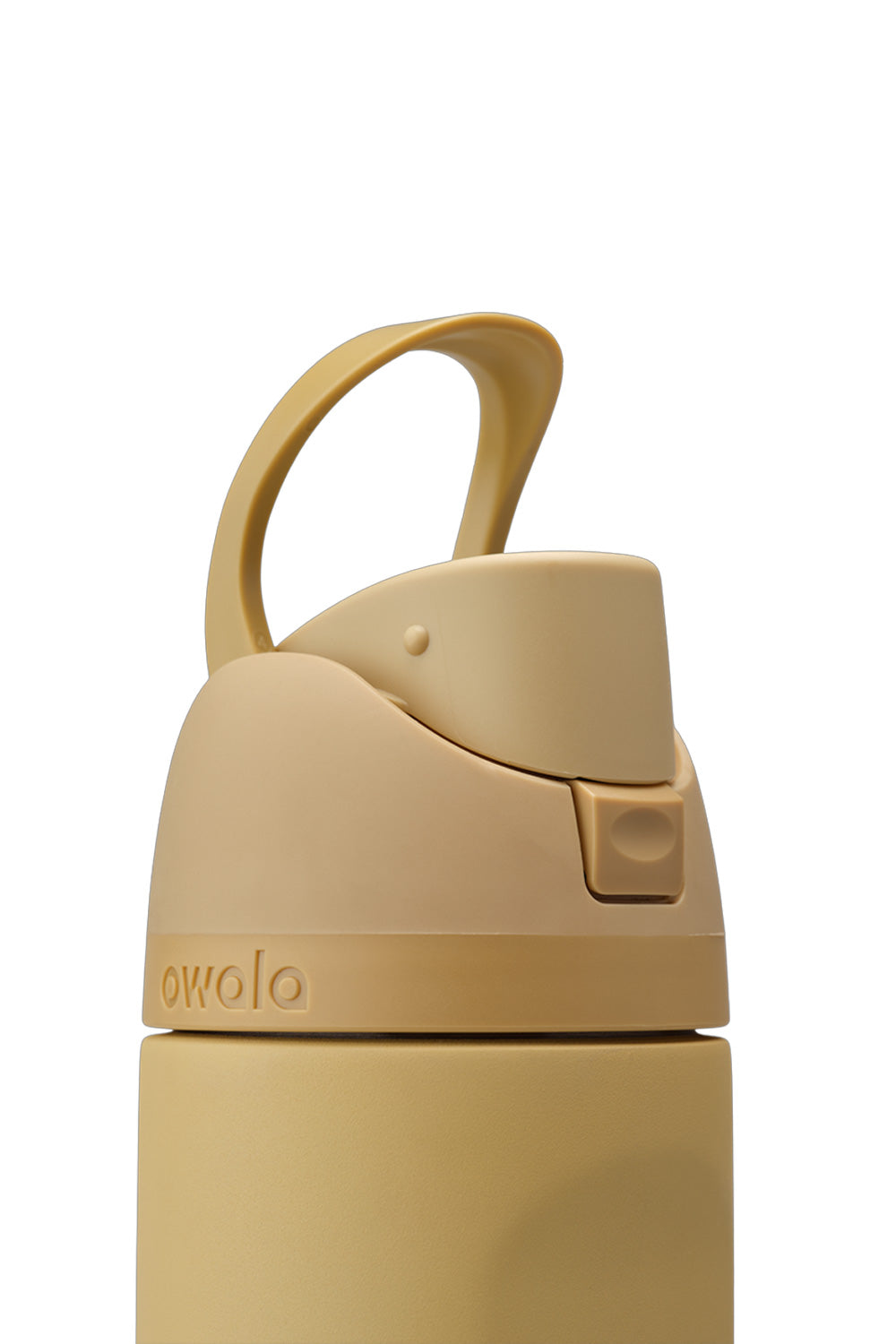 Owala FreeSip 24 oz Stainless Steel Water Bottle in Autumn Vista