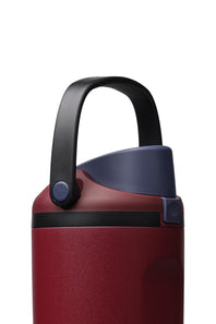 Owala FreeSip Sway 30 oz Stainless Steel Water Bottle in Burgundy Bay