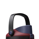 Owala FreeSip Sway 40 oz Stainless Steel Water Bottle in Burgundy Bay