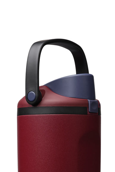 Owala FreeSip Sway 40 oz Stainless Steel Water Bottle in Burgundy Bay