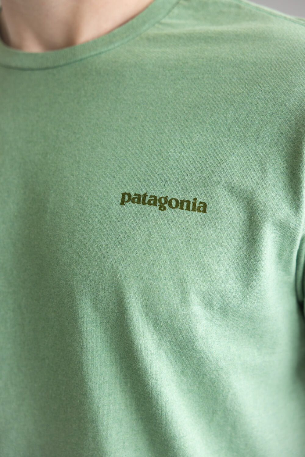 Patagonia Men’s Fitz Roy Icon Responsibili-Tee T-Shirt in Rinsed Green