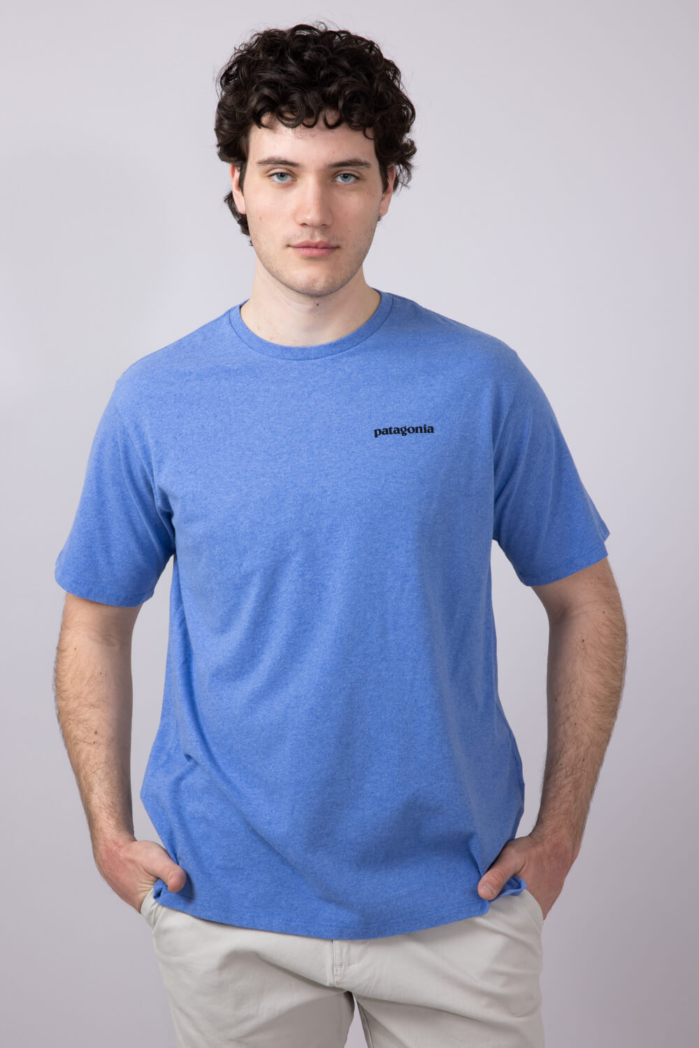 patagonia| (M P-6 Logo Responsibili-Tee (38504-ABNB)) Patagonia Men's P-6 Responsibili-Tee T-Shirt in Abundant