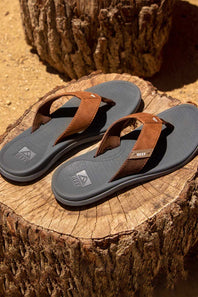 Reef Cushion Santa Ana Sandals for Men in Grey Tan