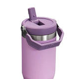 Stanley 30 oz IceFlow Flip Straw Tumbler in Lilac