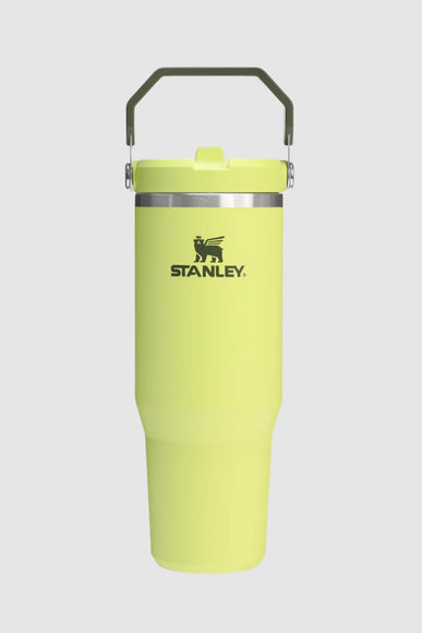 Stanley 30 oz IceFlow Flip Straw Tumbler in Prickly Pear