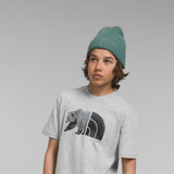 The North Face Youth Graphic T-Shirt for Boys in Grey Heather