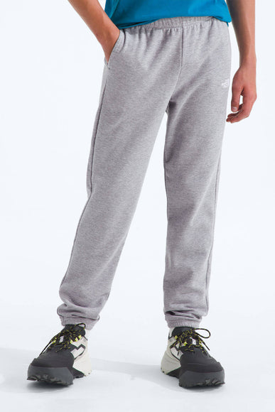 The North Face Youth Evolution EMB Pants in Grey