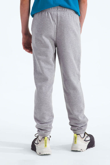 The North Face Youth Evolution EMB Pants in Grey