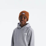 The North Face Teen Evolution Box Hoodie in Pale Grey