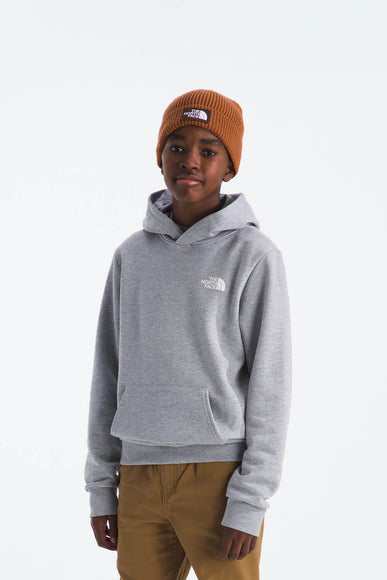 The North Face Teen Evolution Box Hoodie in Pale Grey