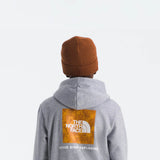 The North Face Teen Evolution Box Hoodie in Pale Grey