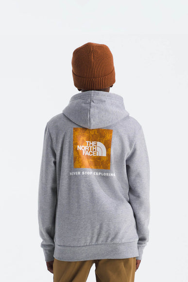 The North Face Teen Evolution Box Hoodie in Pale Grey