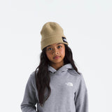The North Face Teen Evolution Box Hoodie in Pale Grey