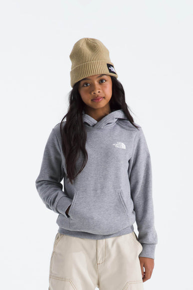 The North Face Teen Evolution Box Hoodie in Pale Grey