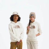 The North Face Teen Evolution Half Dome Hoodie in White Dune