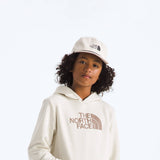 The North Face Teen Evolution Half Dome Hoodie in White Dune