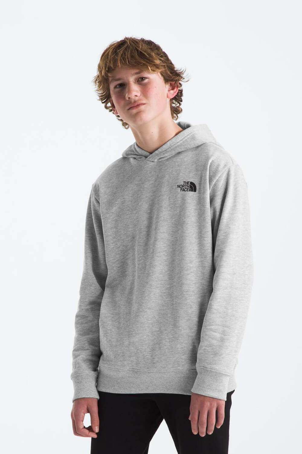 The north face heather logo big hoodie hotsell