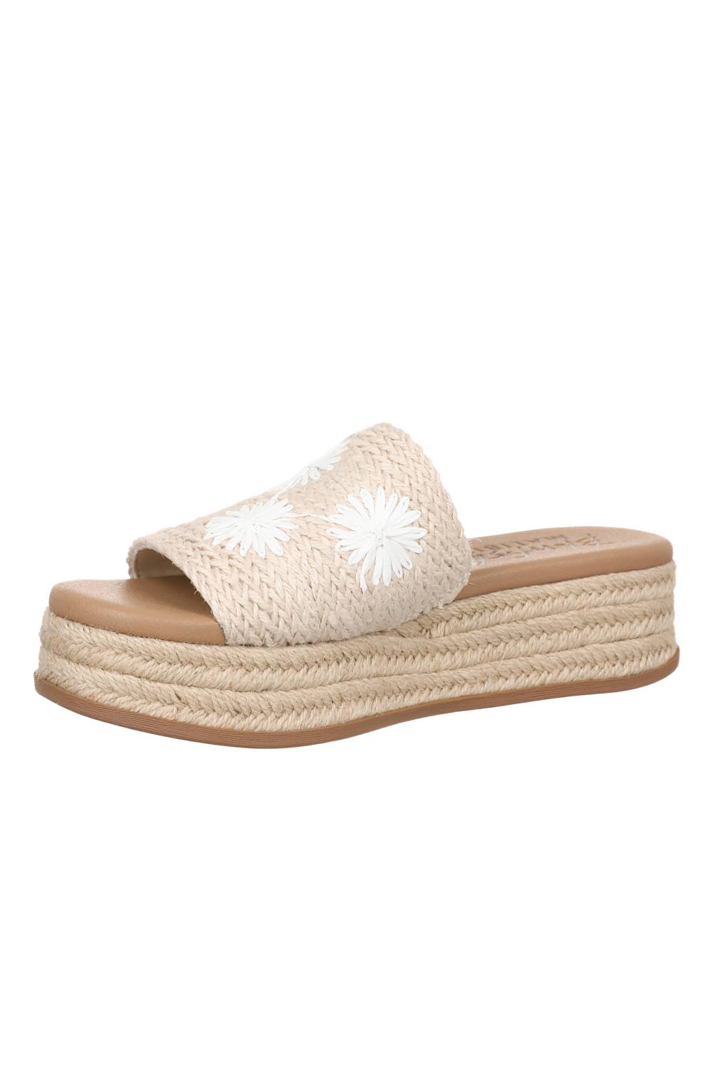 Blow-Fish-Shoes-White-Background