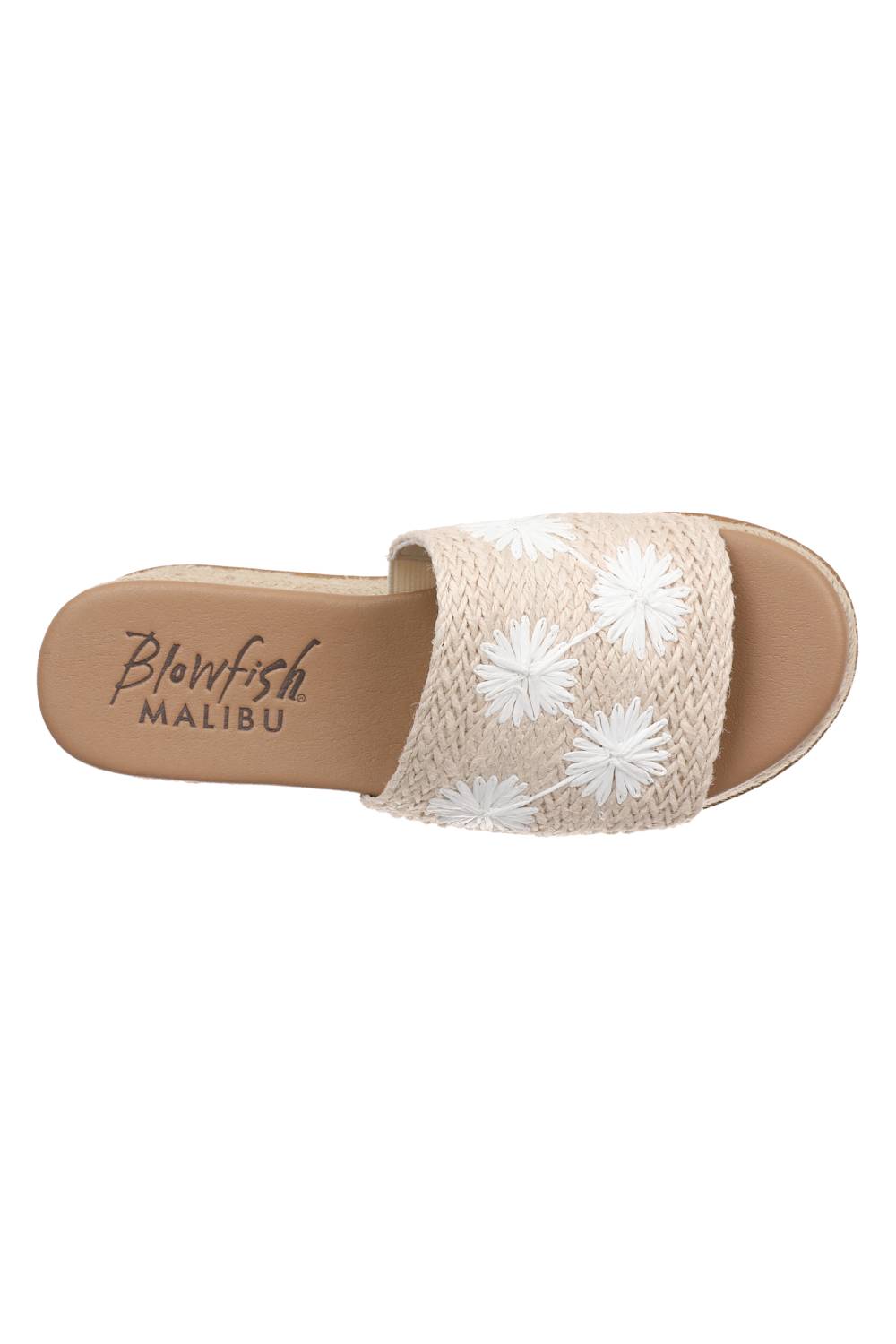 Blow-Fish-Shoes-White-Background
