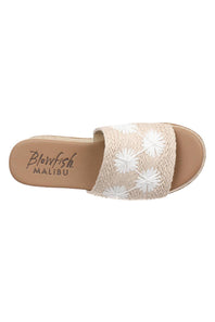 Blow-Fish-Shoes-White-Background
