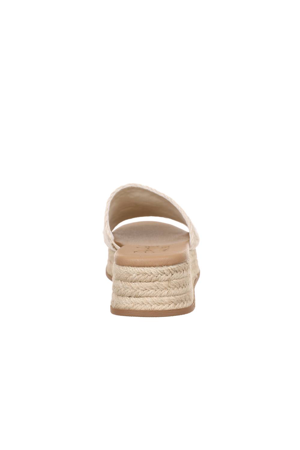 Blow-Fish-Shoes-White-Background