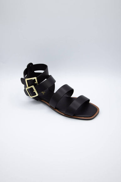 Qupid Shoes Indigo Gladiator Sandals for Women in Black