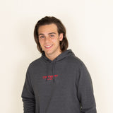 Carhartt Lightweight Hoodie for Men in Grey