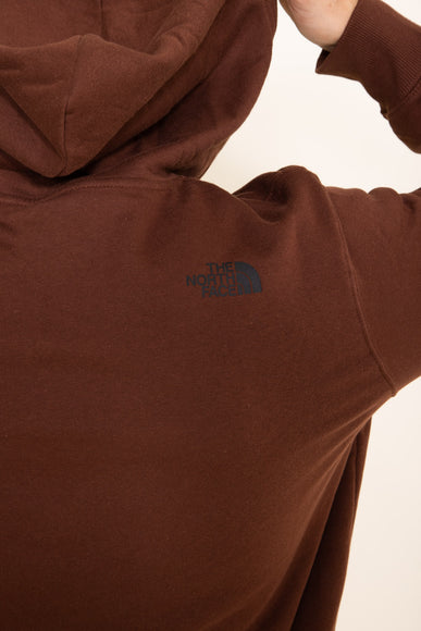 The North Face Bear Hoodie for Men in Brown