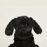 Warmies Black Lab