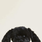 Warmies Black Lab